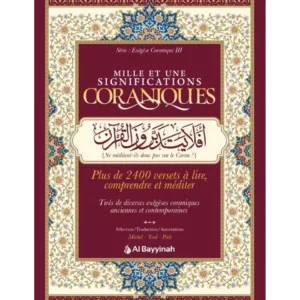 mille-et-une-significations-coraniques-compilation-al-bayyinah