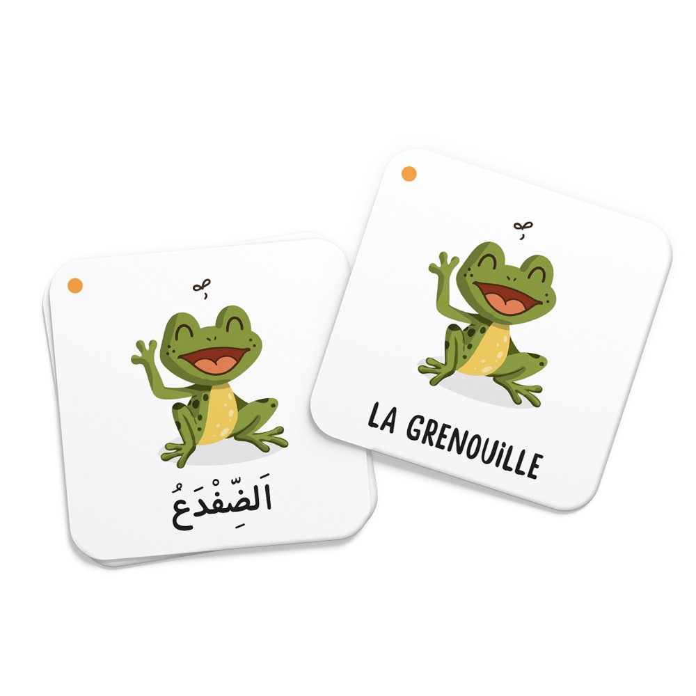 PUZZLE MEMO DES ANIMAUX DU CORAN - EDITIONS DEENILEARN – Image 3